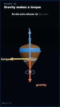 Why Doesn't a Spinning Top Fall?