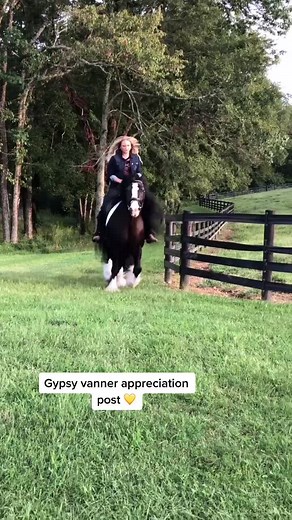 Photoshoots are more fun with horses 💛 #gypsyvanner #westernfashion #nfr
