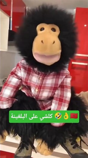 كلشي على البلغينة 🤣👌🇲🇦