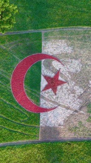 The largest Algerian flag in the Kansas city USA 🇺🇸 🇩🇿