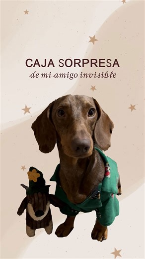 REX on Instagram: "¡Guau guau, la Navidad ya está aquí! 🐾🎄 Hoy yo tomo el control porque… ¡ME HA LLEGADO EL AMIDOG INVISIBLE! 😍🎁 organizado por @elecantes_ 🥰. Pero sobre todo me toca dar gracias a @toykira_ por cada detalle de amor tanto a mis papis como a mí y sobre todo por alegrarnos de esta manera la navidad🎅🏼. Abrir esta cajita 🎁 ha sido toda una aventura: olfatear, mover la cola sin control, remover los paquetitos y poner ojitos de “esto es para mí, ¿verdad?” 🤭 Tengo que decirlo b