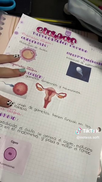 💘💘💘#fyp #foryou #lettering #apuntes | Letter Writing