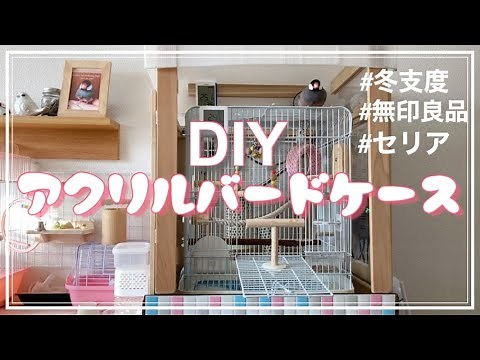 【文鳥の防寒対策・手作りアクリルバードケース】小鳥のお世話Vlog