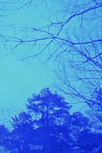 A Pattern Language - Movie