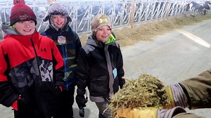 342K views · 5.6K reactions | Visiting a Dairy Farm-What do Dairy...