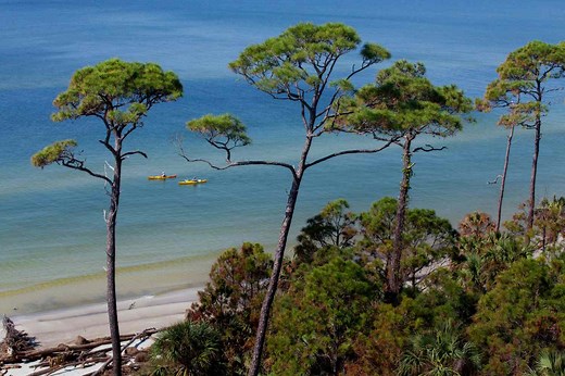 This Tropical Paradise Is The Best-Kept Secret On Florida's Forgotten Coast