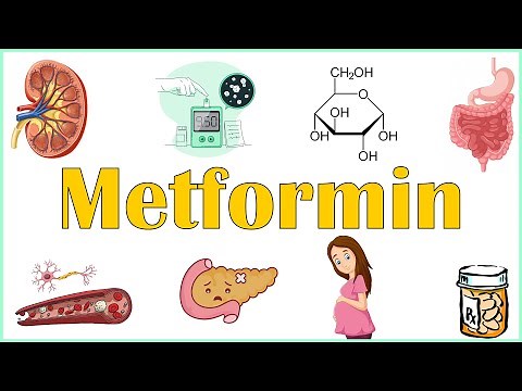 Metformin - Uses, Mechanism Of Action, Adverse Effects & Contraindications