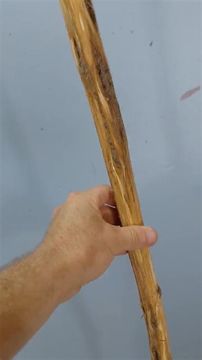 Diamond Willow Blank Walking Stick / Hiking Stick / DIY Walking Stick - Etsy