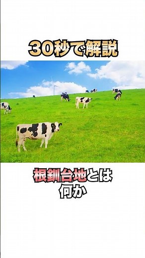 30秒で解説！根釧台地とは何か #雑学 #地理 #社会科 #shorts