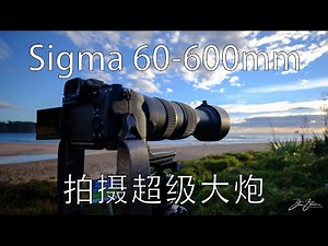 【4K】Sigma 60-600mm F4.5-6.3 用大炮拍摄是一种什么体验 - 极东银月摄影世界线29