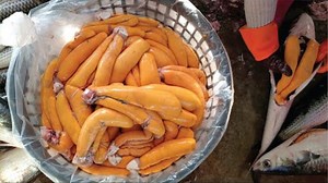 Mullet Cutting Skills-Mullet Roe Making ,Grilled Mullet Roe​ - Taiwan Street Amazing Food Taste | Amazing Food Taste