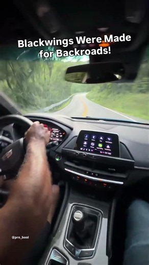 Blackwings Were Made for Backroads!