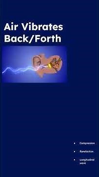 How Waves Travel: Energy vs Particles Explained | @Doubt-Free-Physics