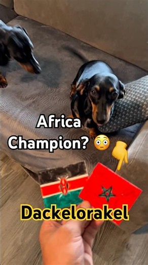 Kenya 🇰🇪 vs Morocco 🇲🇦 | Women's Africa Cup of Nations 2026 #africa #caf #kenya #morocco #maroc #...