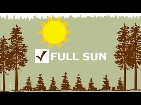 Clearcutting in Oregon - Forest Fact Break