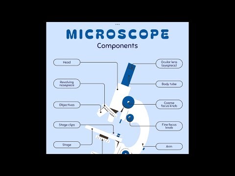 #thecompound MICROSCOPE💫💫 detailed explanation