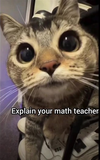 Describe Your Math Teacher with an Emoji