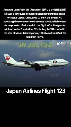 Japan Airlines Flight 123: The Devastating Crash Explained