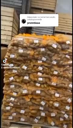 Przemek Matkowski ☑️ na TikTok