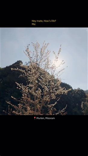 Hello World! Uncover the hidden gem of Murlen! This picturesque village in Mizoram is a treasure trove of natural beauty 💚🍃 📍 Mizoram 🎥©️ @wild__traveller Mizoram Tourism Incredible India Ministry of Tourism, Government of India | Northeast Today