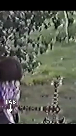 This Guitarist Plays 100 Notes…And Every One Makes Sense!!! #shawnlane #ipracticemymusic