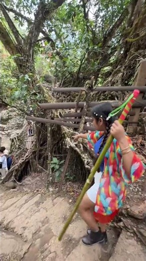 এত কষ্ট করে Double Decker Root Bridge এ আসার পর দেখলাম বন্ধ 🥹❌
