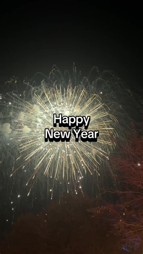 Can you spot the Mickey firework? #happynewyear #fireworks #hiddenmickey #disney