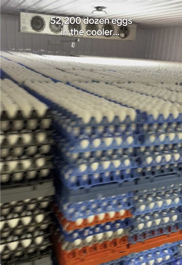 Emily | Farm Wife | Mama on TikTok