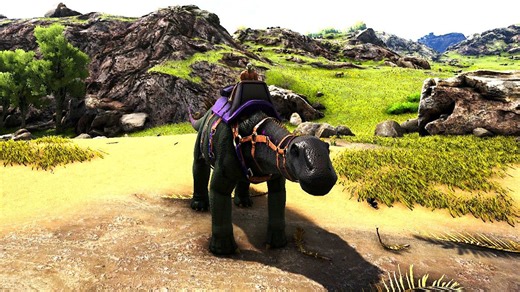 史前野兽：萨尔塔龙【Saltasaurus】