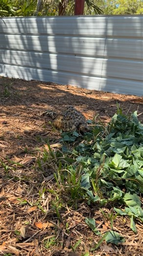 Taylor Stanberry on Reels