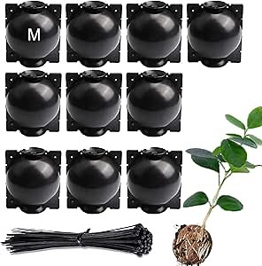 Amazon.com : QHC KOCK 10 Pack Tree Root Growing Box, Rooting Ball Grafting Tools, Reusable High Pressure Tree Rooter Air Layering Propagation Kit Propagator Pot Rooting Device for Plant Cutting Seedlings : Patio, Lawn & Garden