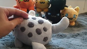 Warrior Cats Inspired Beanie Plushies Squirrelflight Bluestar Firestar Hollyleaf Ashfur and More! (customs Available Check Description!) - Etsy