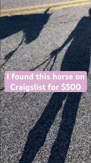 Totally worth the work! *Motivation* #trending #horse #barrelracing