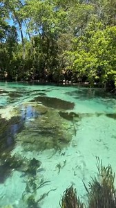 12K views · 384 reactions | Floating into the weekend like... Florida Spring State!  @thefloridabeachbum #florida #floridalife #sup #suplife #standuppaddle #paddleboard #orlando #ocala #gainesville #statepark #springs #visitflorida #sunshinestate | Stay Salty Florida | Facebook