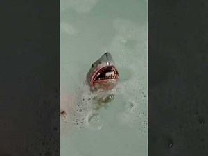 Jaws Lego Quints death and the sharks death
