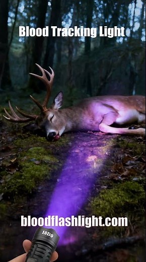 Never Lose Another Buck. Try This Blood Tracking Flashlight Essential Tool
