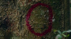 Dora.and.the.Lost.City.of.Gold.2019.TRUEFRENCH.1080p.BluRay.AC3.x264_darkino.com