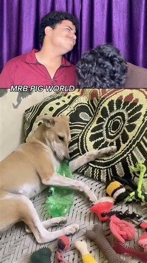 TRY NOT TO LAUGH 😂||WAIT FOR END||MRB PART-1127