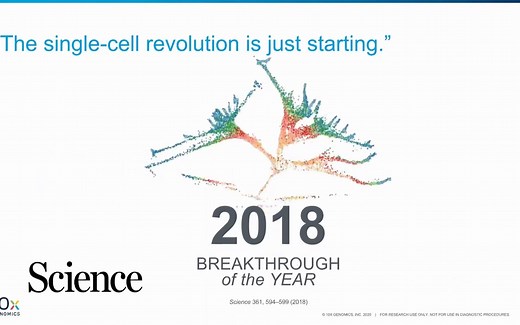 10x Genomics Single Cell Gene Expression测序