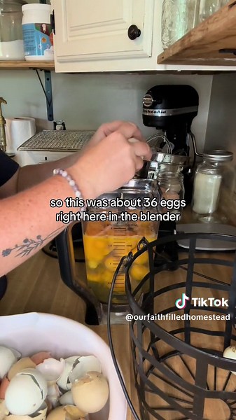 Dehydrating eggs is super easy and once they are fully processed they can last on the shelf for years! Anytime I can stock our cantry shelves is a win for me! To dehydrate: • Blend eggs until smooth and combined. • Pour onto silicone dehydrator trays evenly. • Dehydrate at 145 for about 10 hours or until done! • Come back for a part 2 where I show you how I will store them. #longtermfoodstorage #dehydrator #dehydratorrecipe #dehydratorrecipes #fresheggs #farmfresheggs #foodpreservation #preservi