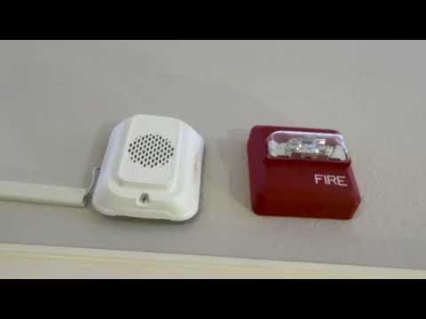 Bedroom FACP test (Wheelock ZNS, System Sensor LED Ceiling horn strobe, System Sensor LF, BG-12L)