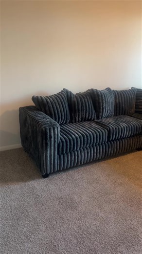 My First Couch: A Love Story