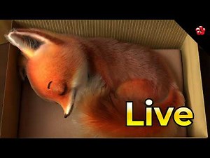 🔴🦋 LIVE Tamil Cartoons 💃 தமிழ் கார்ட்டூன் நேரலை 💖 Kids Songs & Stories
