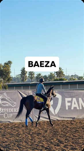 Our 2025 PA Derby Champion BAEZA checking out the track at Del Mar ahead of Saturday’s @breederscup Classic! #paderby | Pennsylvania Derby