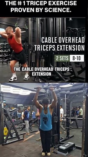 number one triceps exercise proven by science || jeffnippard #jeffnippard #tricepsworkout #science