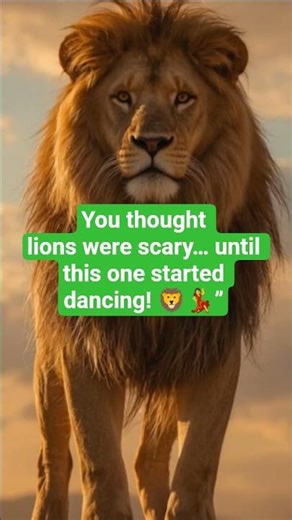 Amazing Lion Dance Performance | Traditional Chinese Lion Dancing 2026