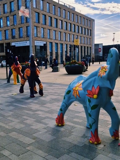 THE ELEPHANTS ARE BACK! 🐘🐘🐘 Bolton's iconic elephants have officially returned to their original home! A familiar sight from Bolton's past has been brought back, giving residents a chance to see these much-loved landmarks where they originally stood. For older generations, it's a trip down memory lane — and for younger Boltonians, a chance to discover a little piece of the town's history. They're back where they belong. What are your memories of the elephants?comment below 🐘👇 Follow Bolton 