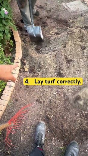 Here are the 5 key steps to installing real grass. #greengrass #grassinstallation #landscapegrass