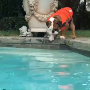 6.8M views · 160K reactions | "Slim is a terrible swimmer but God loves a trier"  | UNILAD | Facebook