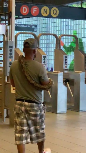 🐍 #subwaycreatures #coneyisland #wtf #nyc2020 #fyp